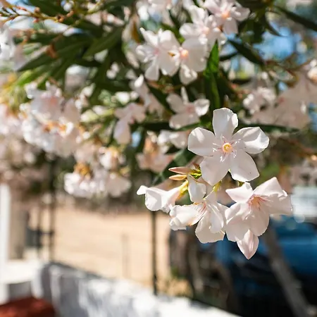 Monolocale Апартаменты